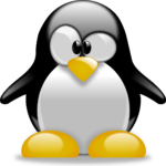 The best Linux distributions of 2024